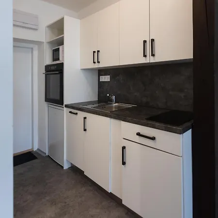 Apartment Otakarova *