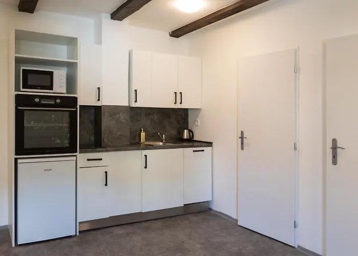 Apartment Otakarova Ceske Budejovice